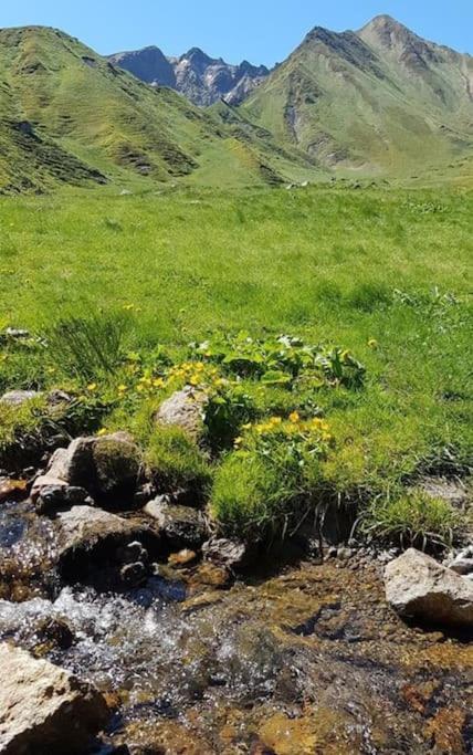 Spacieux Au Coeur Du Massif Du Sancy