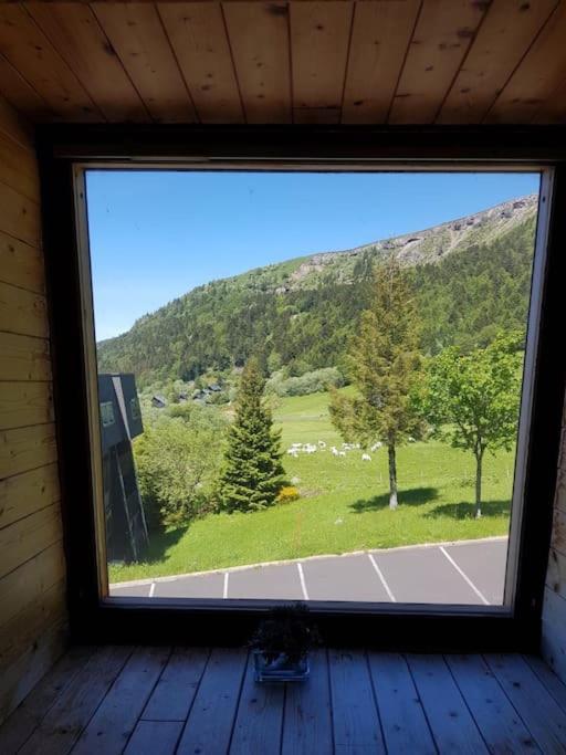 Spacieux Au Coeur Du Massif Du Sancy *